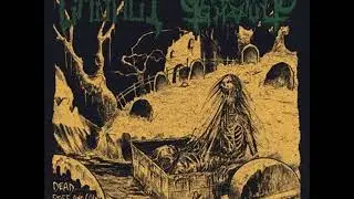 Casket / Graveyard Ghoul - Dead... Stiff And Cold In A Box To Decay (Full Split)