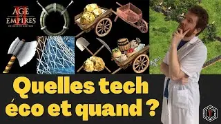 Tutoriel et guide sur les tech économiques; quand et lesquelles faire sur Age of Empires II