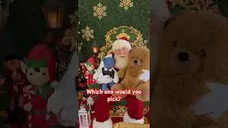 Which one would you pick? #funny #crazyteddy #teddybear #teddy