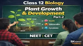 Class 12th- Biology (Topic- Plant Growth & Development) Part-2 I NEET | CET I BK Science Academy