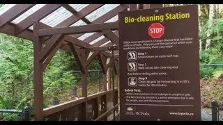 Protecting Bats from White-Nose Syndrome in BC Parks