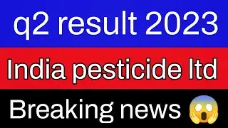 india pesticides q2 results|india pesticides share latest news| india pesticides q2 results 2023