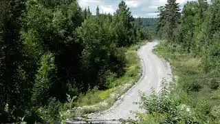 Capreol to Shining Tree