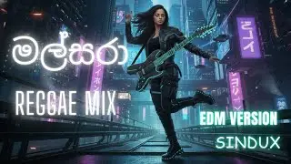 Malsara (මල්සරා) | Reggae Cover |  SinduX