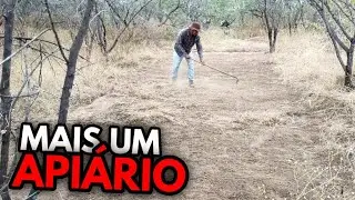 MAIS UM API&Aacute;RIO - ABELHA AP&Iacute;S