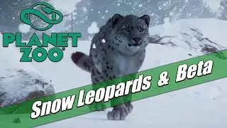 Planet Zoo - The Beta, Snow Leopards & More from Gamescom