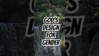Male & Female. #faithandspirituality #faithjourney #godslovespiritualfoundation#FamilyAndFaith #t