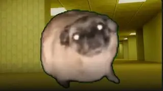 BACKROOMS DEL MEMES DEL PUG BAILANDO #gameplay #roblox #robloxgames #games 