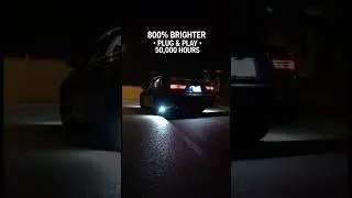 SEALIGHT 194 LED Bulbs 💡 | 800% Brighter White 6000K | Interior & License Plate Lights