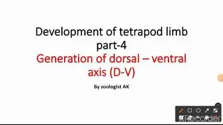 Generation of dorsal-ventral axis (D-V) in case of tetrapod limb development # part - 4 of limb dev.
