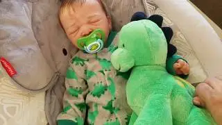 DIVERTIDOS accesorios de DINOSAURIO de mi bebé REBORN Dylan /  Los accesorios más bonitos para bebés