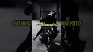 Tranquilo calmo e posturado