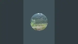 Bejo Farmer sedang live sekarang!