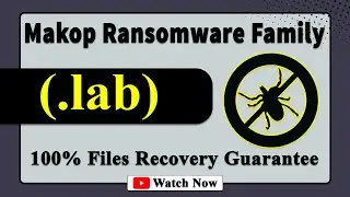 || SOLVED ✅🔘|| Lab (.lab) Makop family ransomware virus - removal and decryption