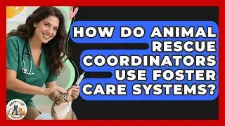 How Do Animal Rescue Coordinators Use Foster Care Systems? - Animal Care Jobs