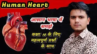Heart || हृदय को आसान भाषा में समझो || Class 10th Science 