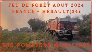 Un choc qui a changé leur monde à jamais. Feu de forêt dans l'Hérault (34) Gigean et Frontignan