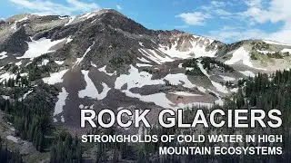 Rock glacier-fed streams: strongholds of cold water in mountains