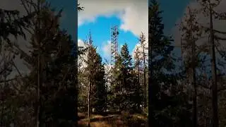 ORMOD: Директива - Собирайте ресурсы днем, охотьтесь ночью. #новаяигра #выживание #fps #открытыймир