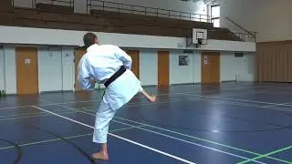 Hokatsu Tekkina