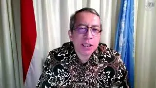 VTC Briefing UN Security Council - 1267/1989/2253 Committee, 1373 Committee 1540 Committee part 2
