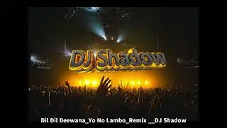 Dil Dil Deewana Yo No Lambo Remix   DJ Shadow