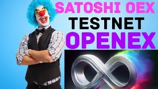 Satoshi OpenEX Testnet Join Process || How to Join Oex Testnet in Metamask