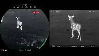 Deer's - Nocpix ACE H50R vs Senopex S10 part 1