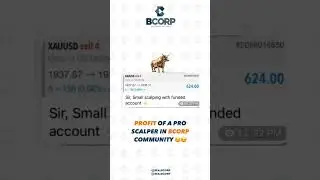 Unlocking Purposeful Profits: The BCORP Advantage 🌍💼| A Deep Dive into Profitable Sustainability