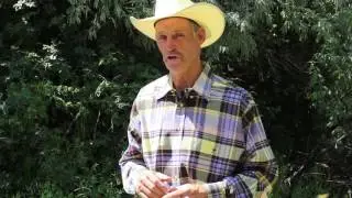 Kidney Support with Mickey Young - RFD-TV - Silver Lining Herbs