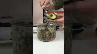 AMC Quickcut