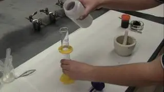 Nosema Analysis in Honey Bees