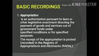 The Government Accounting Process