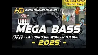 CEK SOUND SANTAI SERASA ADA HAJATAN TERBARU‼️ Orgen Tunggal Android variasi org2024