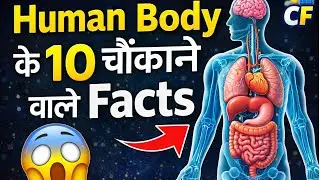 Top 10 Amazing Facts About Human Body | Human Body Facts in Hindi | CurioFacts