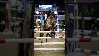Jasper is in the house 😎 #worldofshowjumping #showjumpers #equestrian #showjump