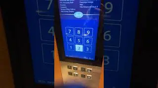 The Disney Magic Cruise Ship elevators are crazy