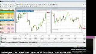 KouLeeFX LQDFX Free Trade Copier for LQDFX Affiliates #LQDFX