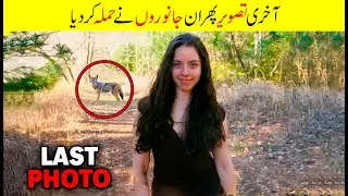 6 HORRIFYING Celebrity  Caused by Animals | True Shocking Cases Ever Recorded | Facts in Urdu