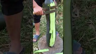 Big Pumpkin Slide #vagetable #slide #agriculture #farming #shorts
