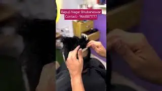 Best hair patch centre in odisha Bhubaneswar Dynamic Studio Hair Patch #hairwig #hairstyles