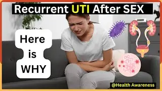 Can You Get A Urinary Tract Infection (UTI) From Having Sex? UTI symptoms and prevention.
