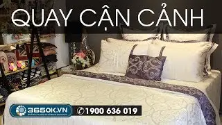 Top 10 mẫu chăn ga gối Lụa Tơ Tằm cao cấp nhập khẩu Singapore KS2-074