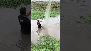 #fishinglover 🐋🐬