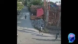 Quarantine in the  Philippines Funny Moments