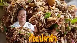 ก้อยปลาซิว#กินก้อยปลาซิว#น้องดาพาแซ่บ
