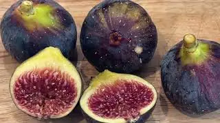 Bordissot Blanca Negra Fig Taste Test 2025