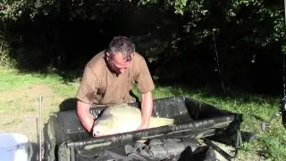 Nash Carp Cradle