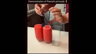 Pascal&rsquo;s Principle, also known as the Principle of Transmission of Fluid Pressure #facts #history