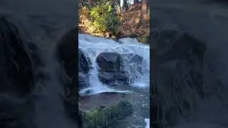 #waterfall #nanaimo #vancoverisland #sharevi #nature #bowenfalls